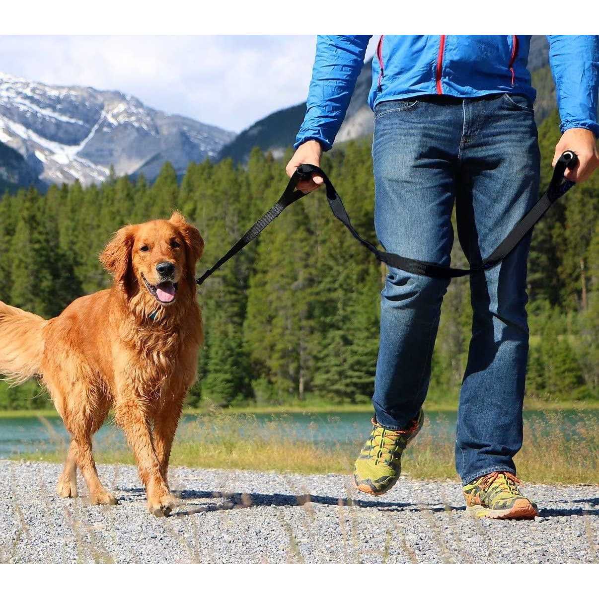 Alternative view of Leashboss Heavy Duty Dog Leash for Large Dogs Double Handle Training Lead for Walking Dogs