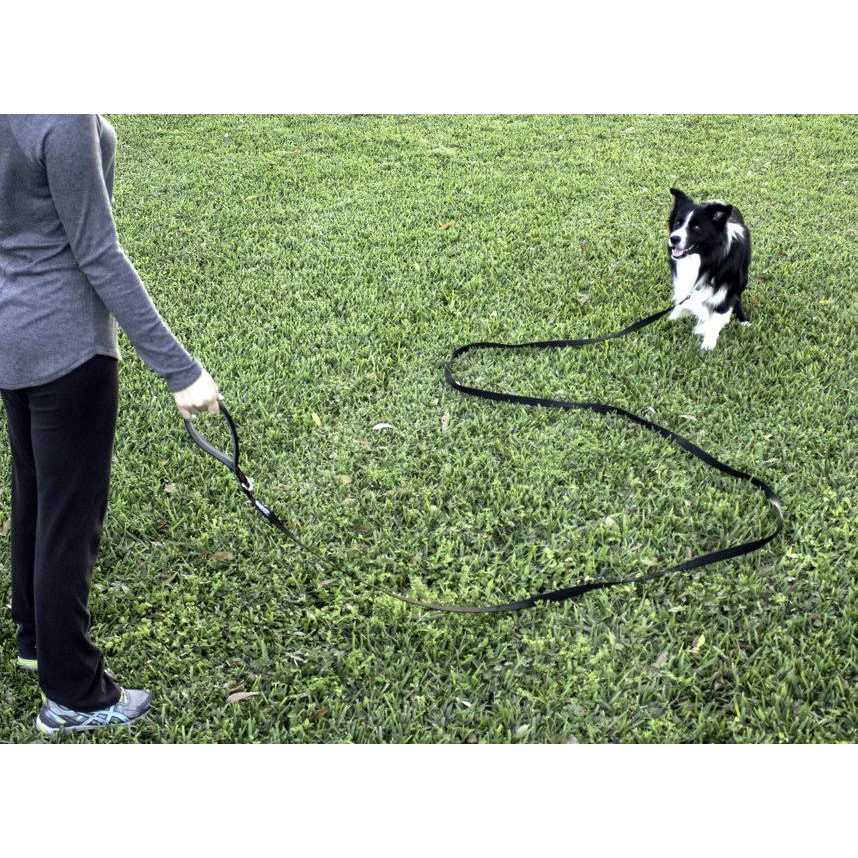 Alternative view of Leashboss 10 Foot Dog Leash with Padded Handle