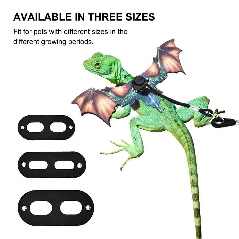 Alternative view of Bearded Dragon Leash Adjustable Portable Reptile Leash with Cool Wings for Gecko