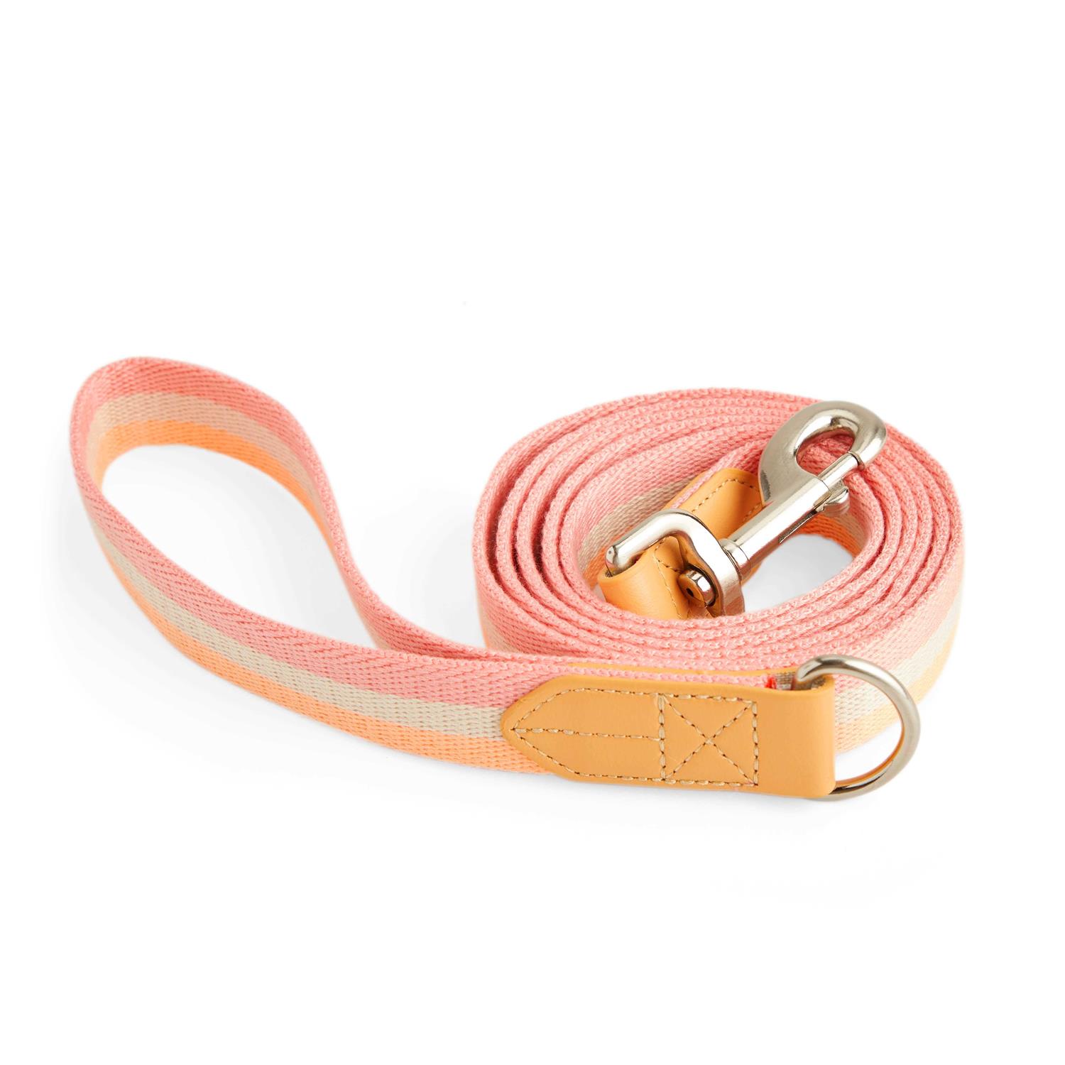 YOULY Creamsicle Dog Leash