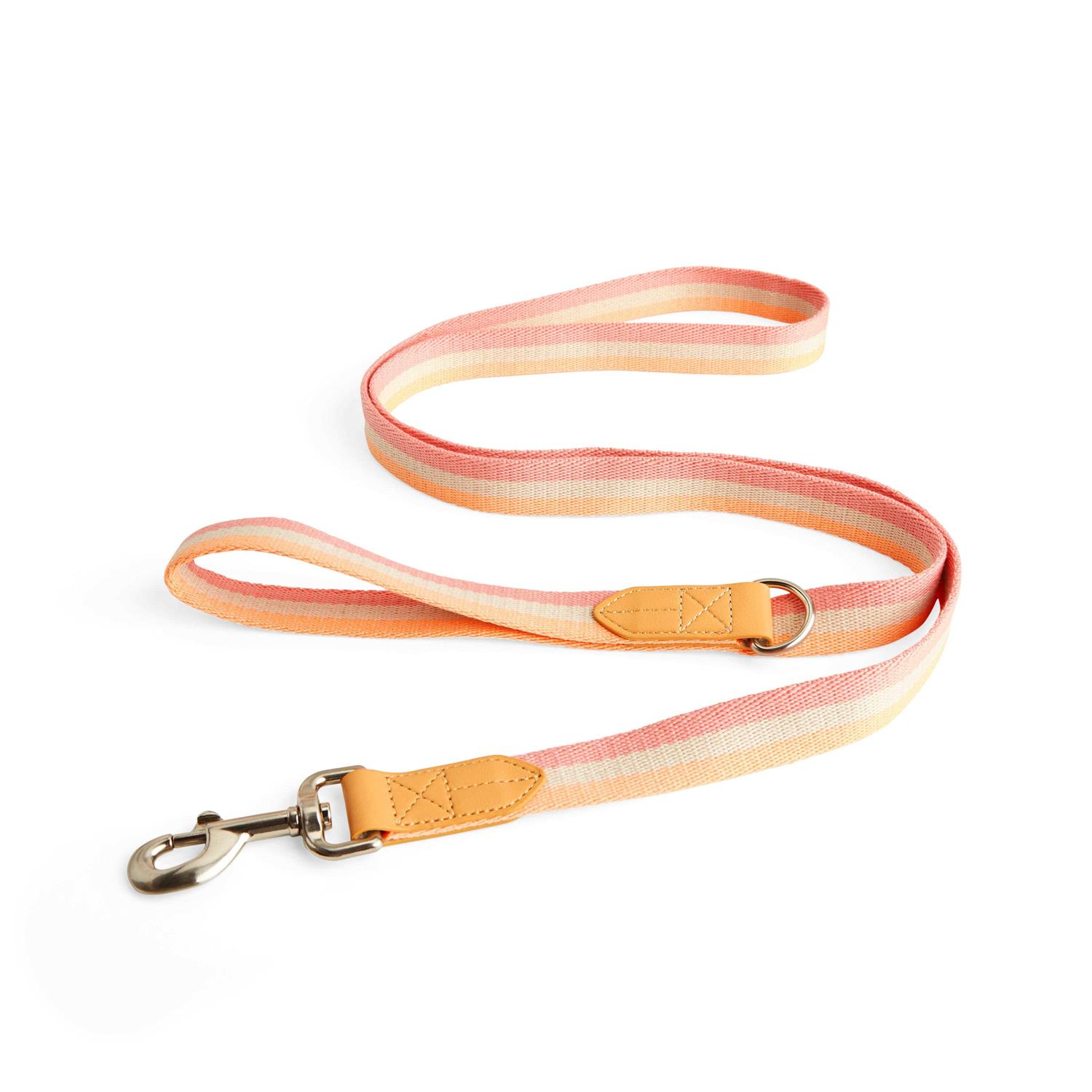 Alternative view of YOULY Creamsicle Dog Leash