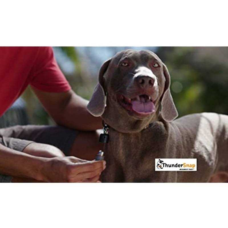 Alternative view of ThunderSnap Quick-Connect Dog Leash