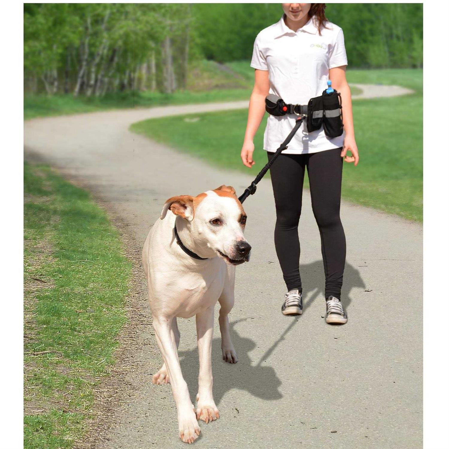 GF Pet Waist Belt & Bungee Leash