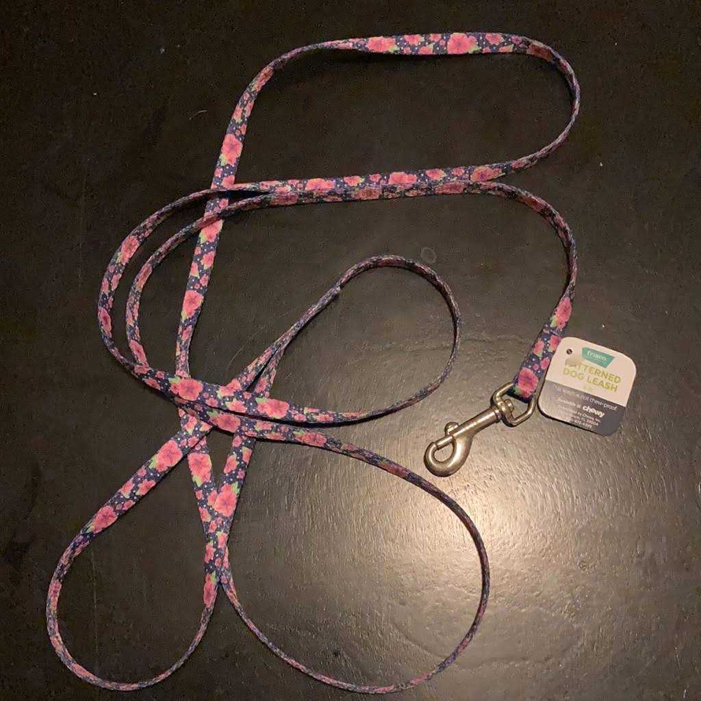 Alternative view of Frisco Dog Dog Leash