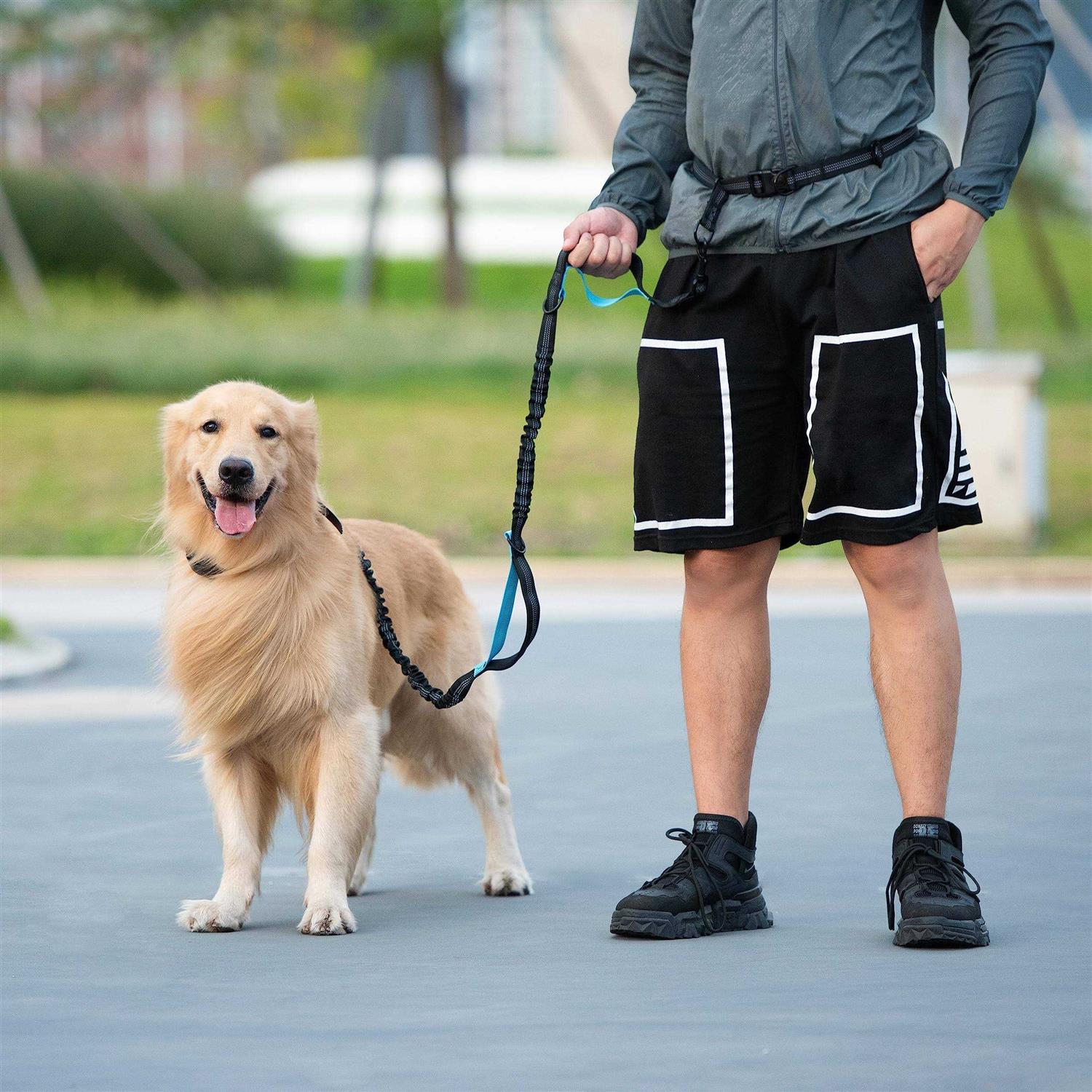 Alternative view of iYoShop Hands Free Dog Leash with Zipper Pouch, Dual Padded Handles and Durable Bungee for Walking, Jogging and Running Your Dog