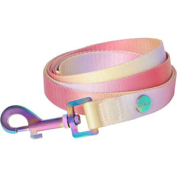 Alternative view of Frisco Ombre Style Dog Leash