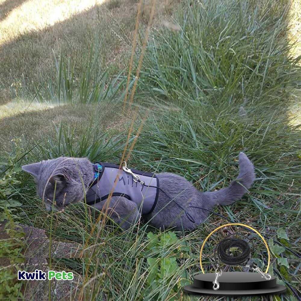 Alternative view of Coastal Poly Cat Tie Out