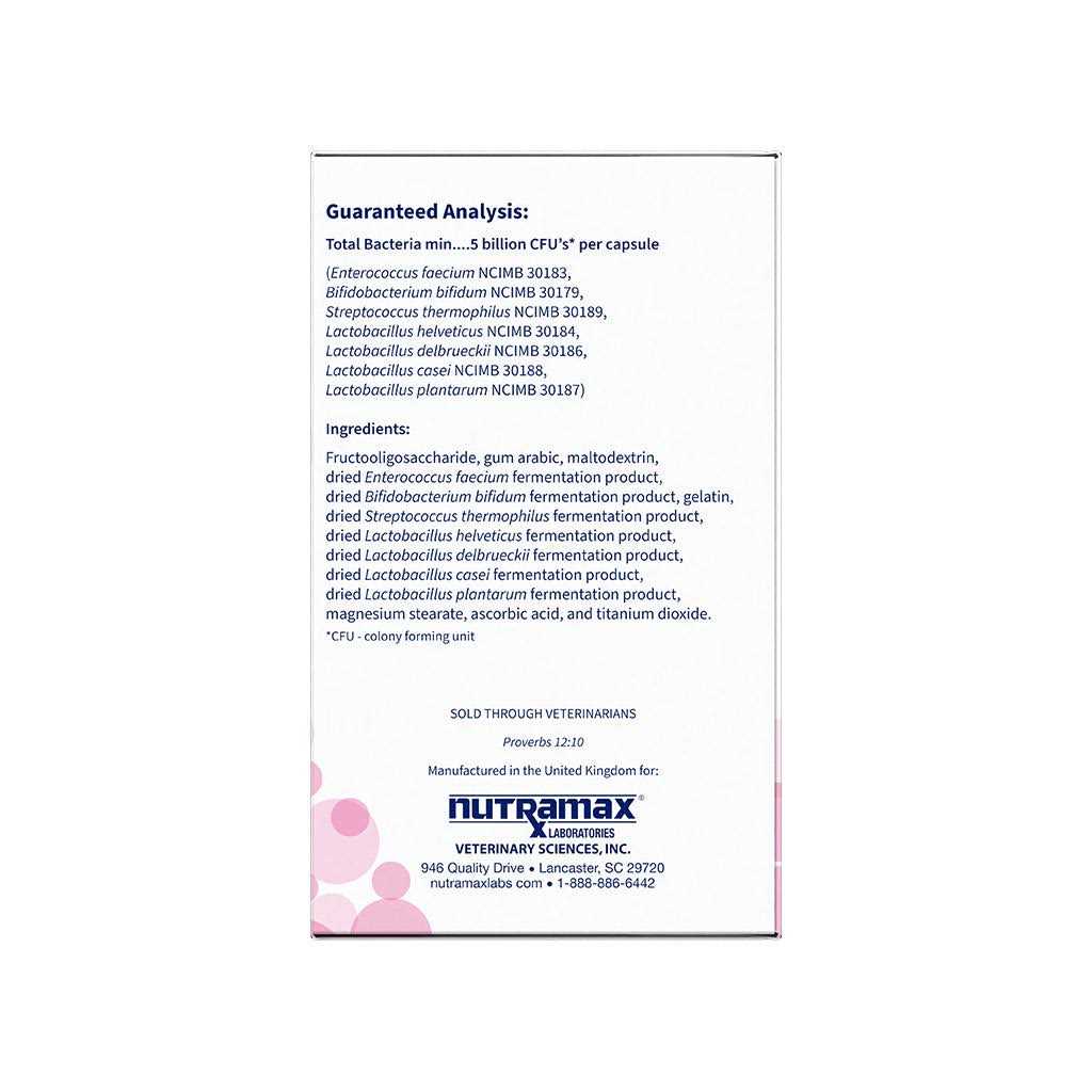 Alternative view of Nutramax Proviable Digestive Health Supplement Multi-Strain Probiotics and Prebiotics for Cats and Dogs
