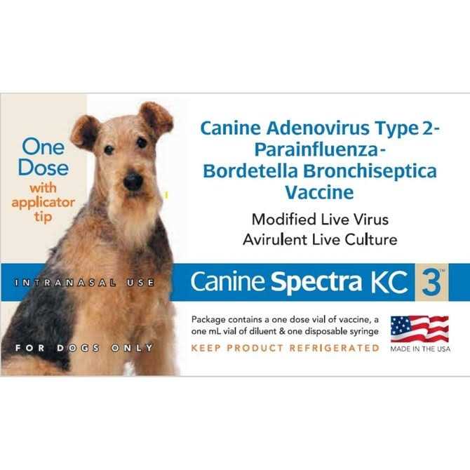Alternative view of Canine Spectra KC3