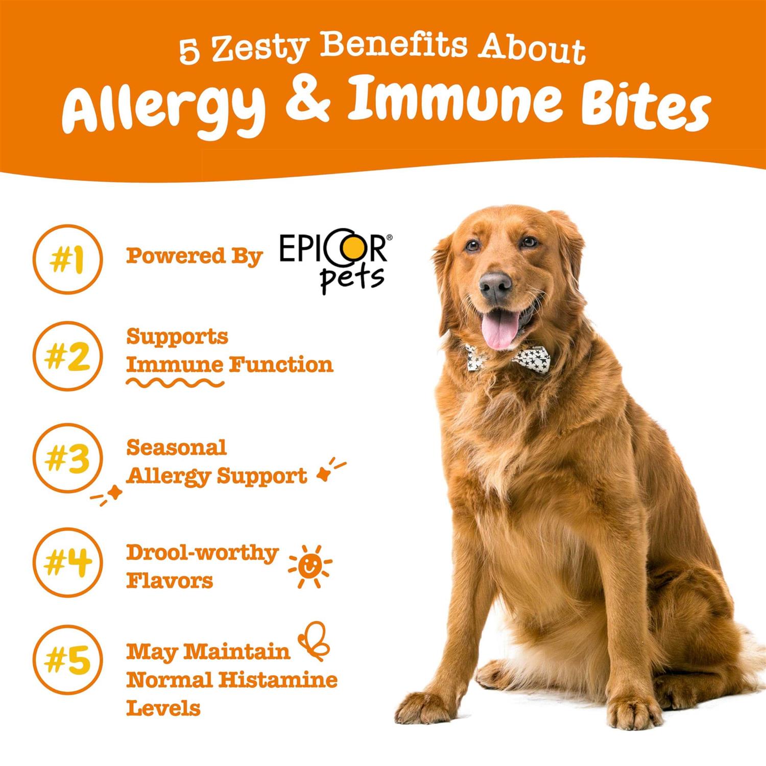 Alternative view of Zesty Paws Salmon Allergy & Immune Bites for Dogs