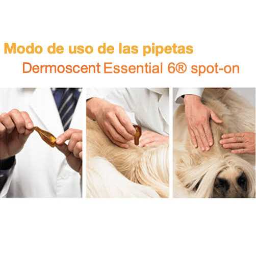 Alternative view of Dermoscent Essential 6 Spot-On Dogs
