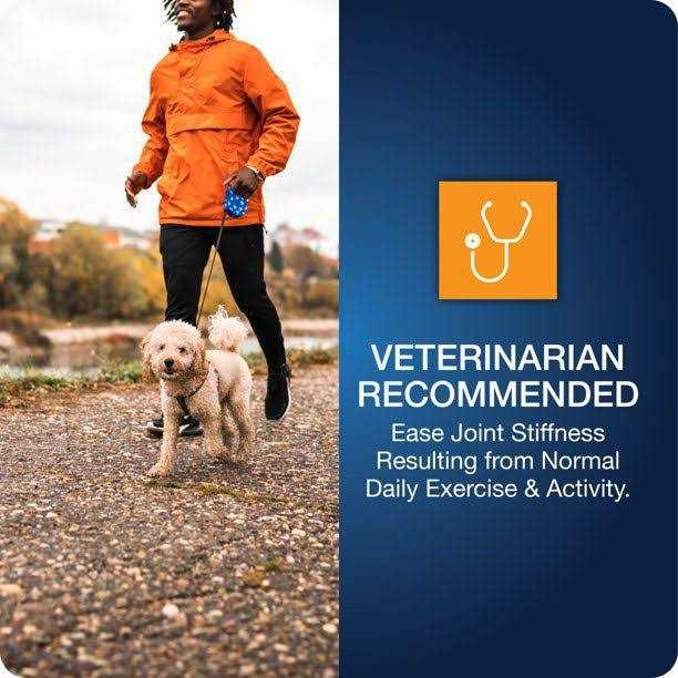 Alternative view of VetIQ Hip & Joint Chews for Dogs