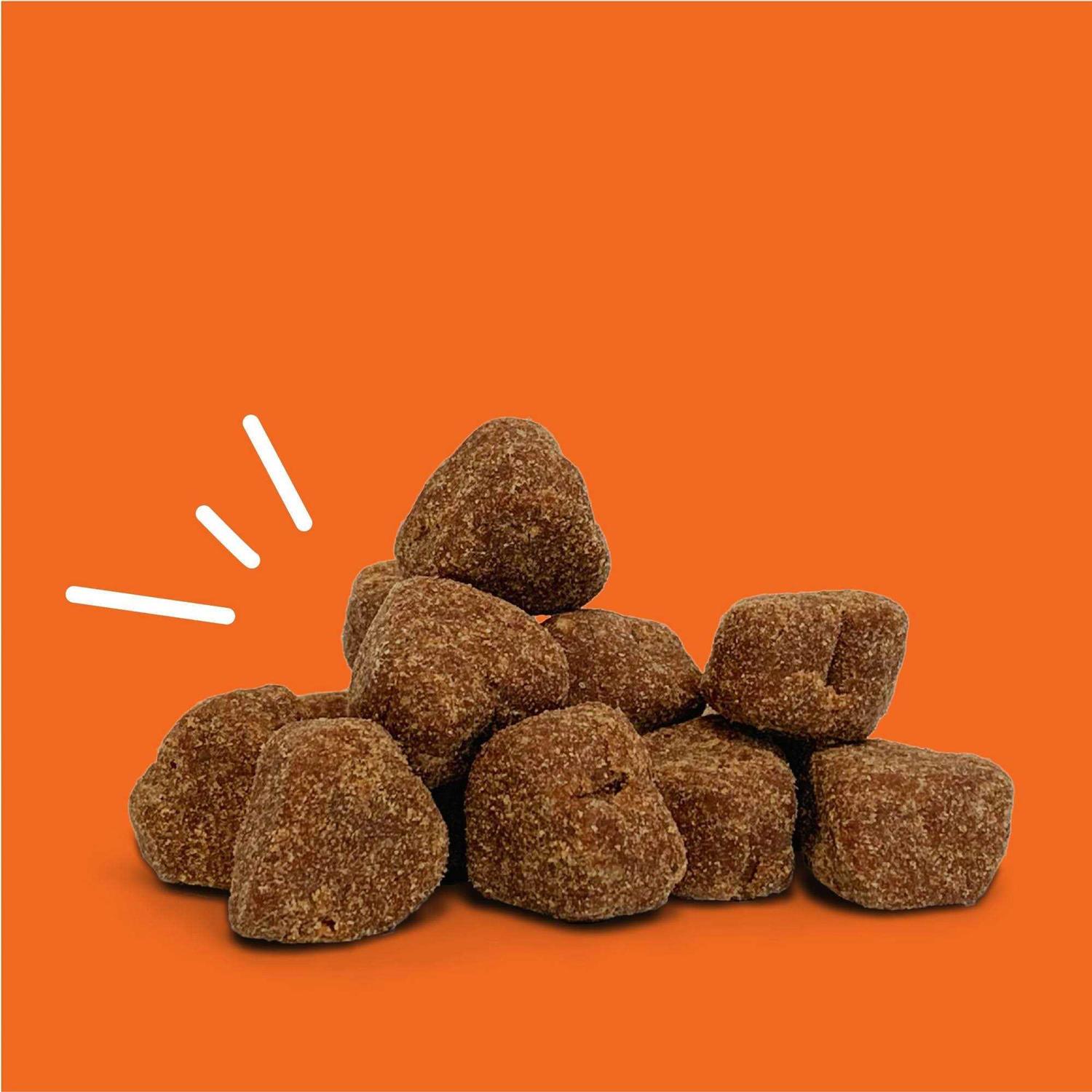 Alternative view of Zesty Paws Probiotic Bites