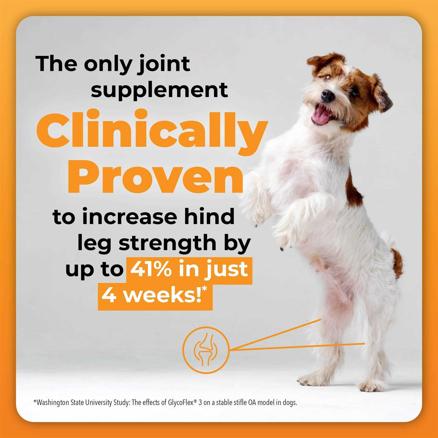 Alternative view of GlycoFlex 3 Dogs