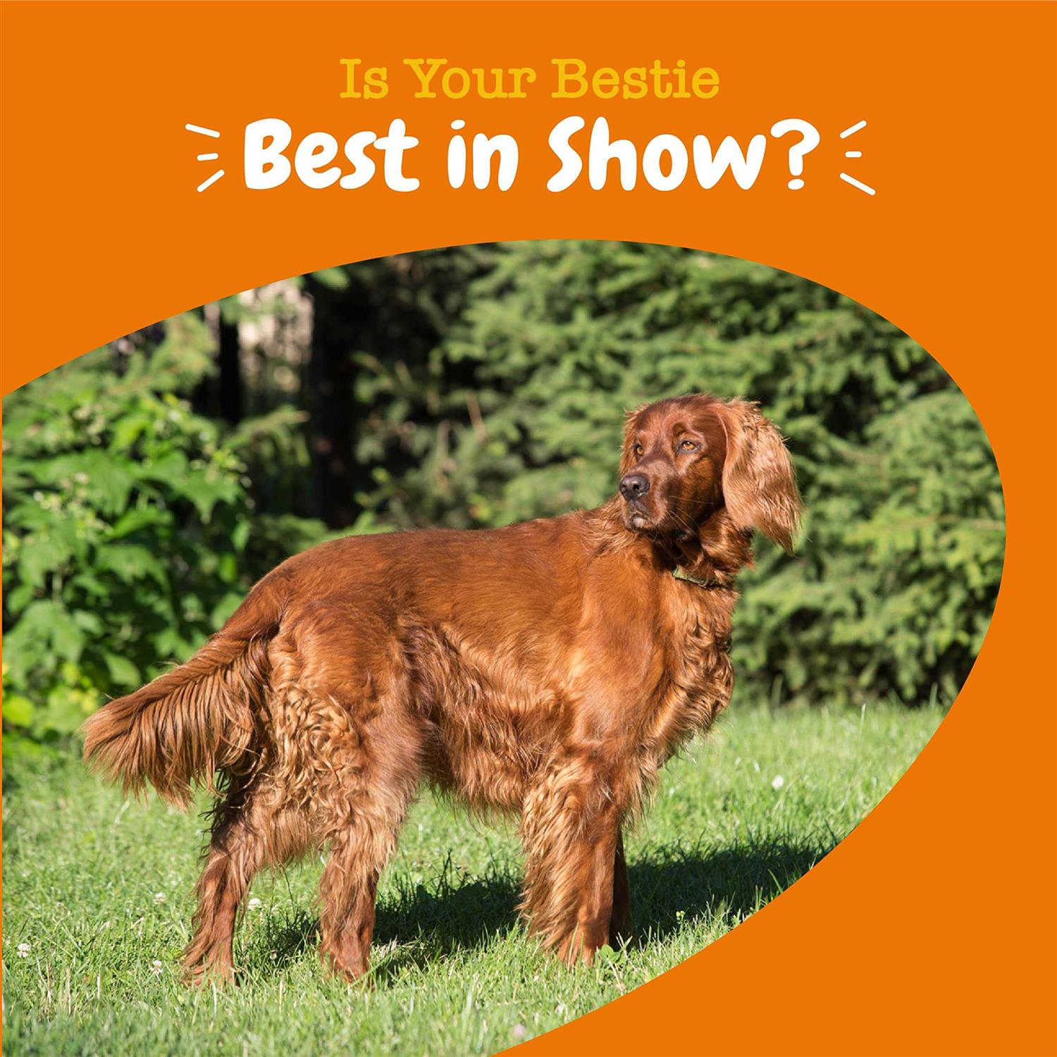 Alternative view of Zesty Paws Omega Bites for Dogs Skin