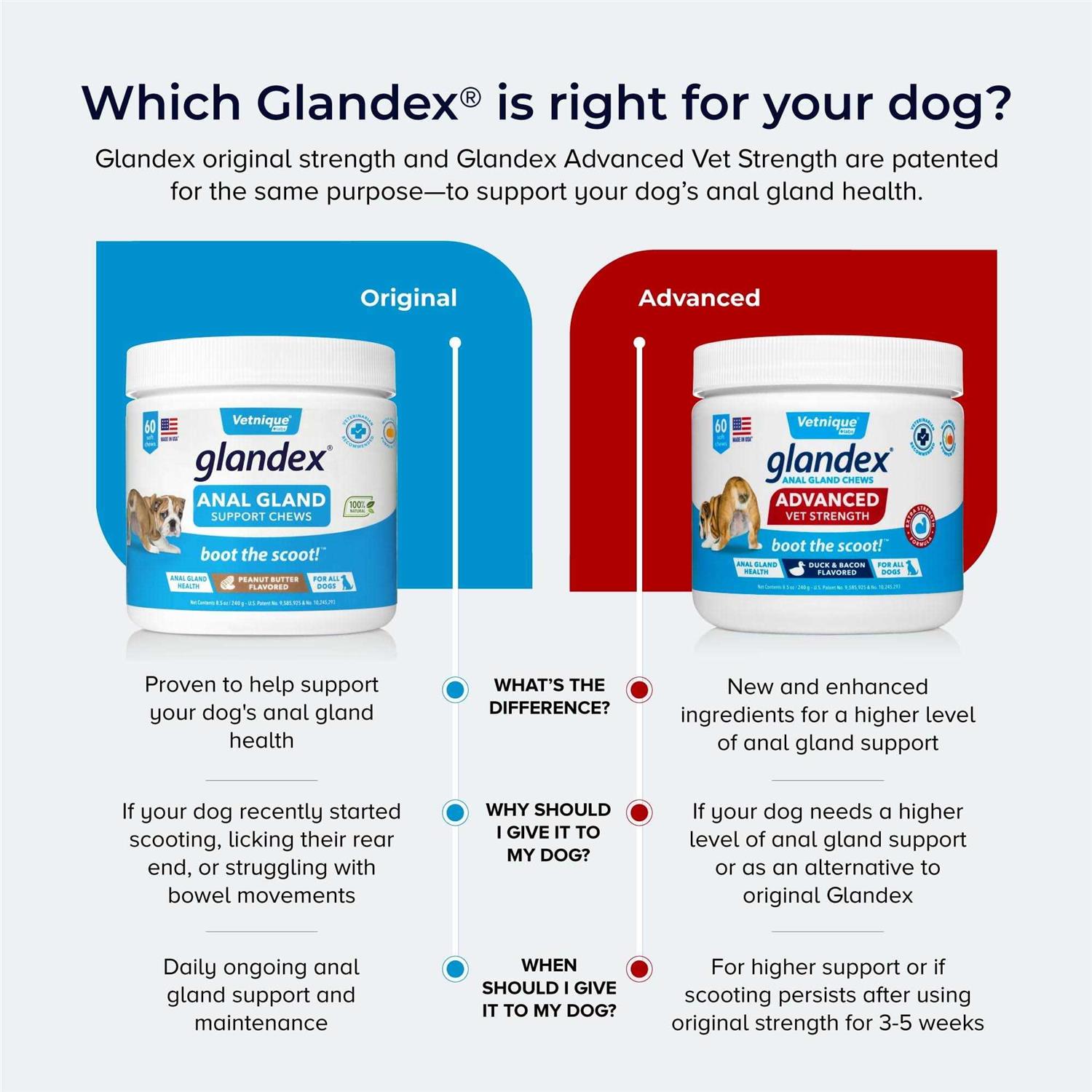 Alternative view of Glandex Advanced Strength Anal Gland Soft Chews for Dogs
