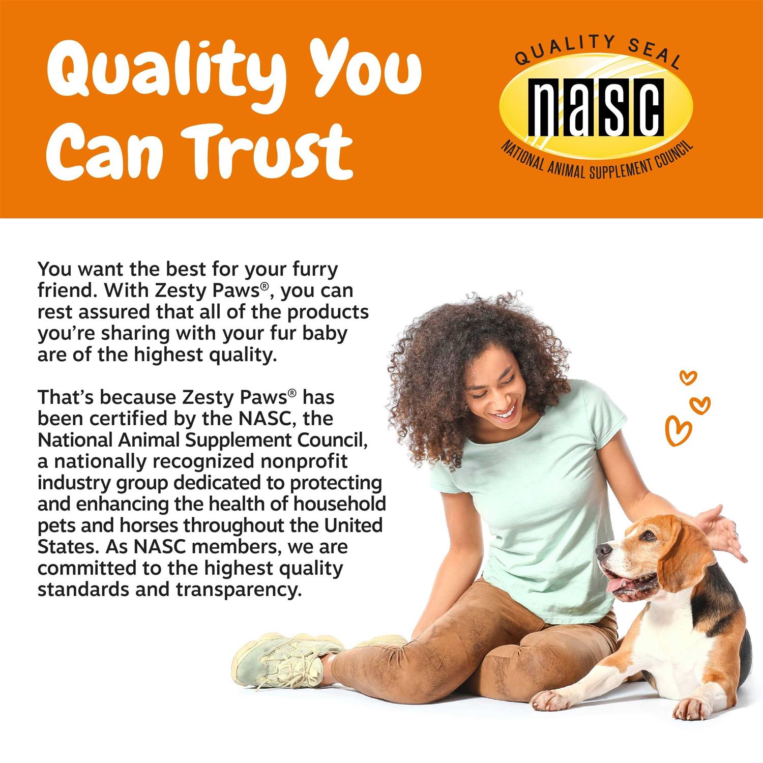 Alternative view of Zesty Paws Turmeric Curcumin Bites for Dogs