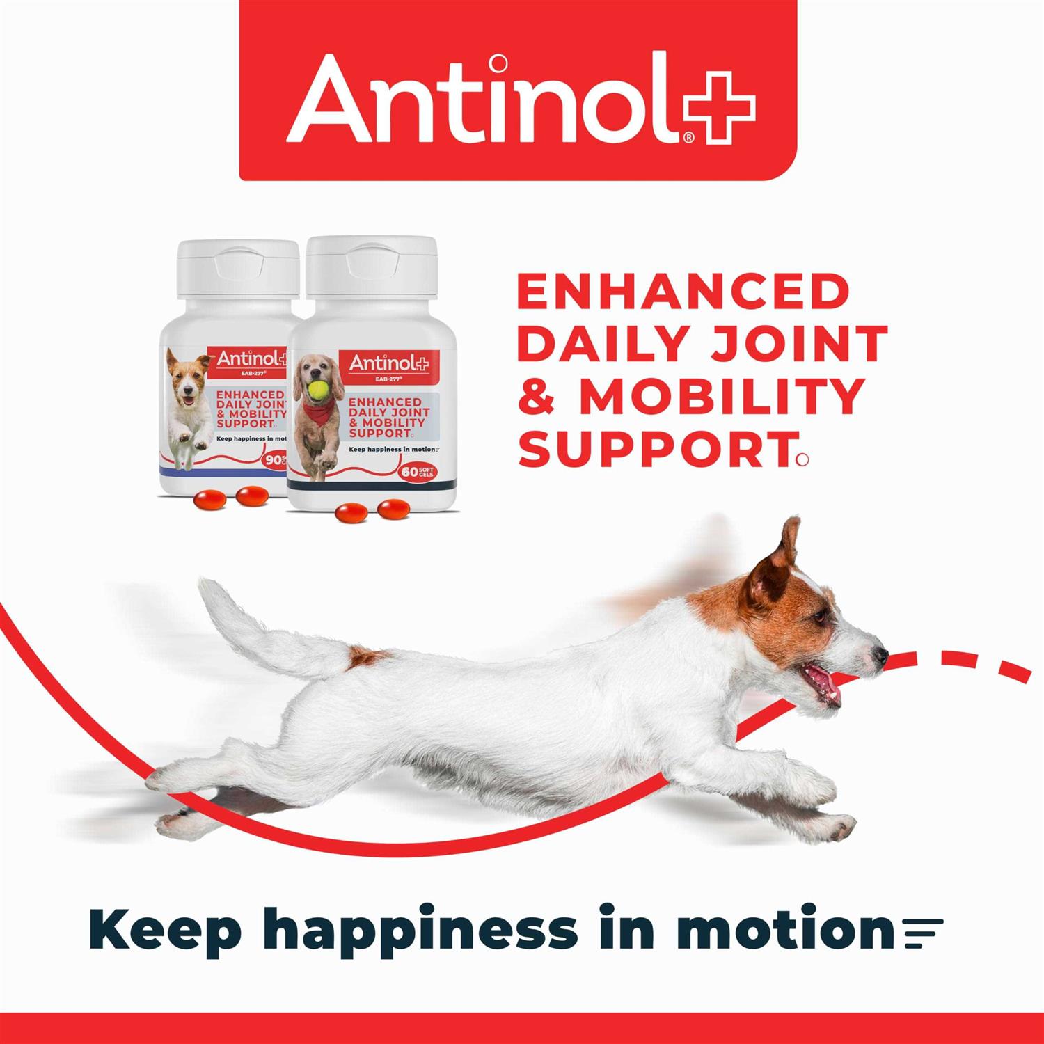 Alternative view of Antinol Plus 60ct