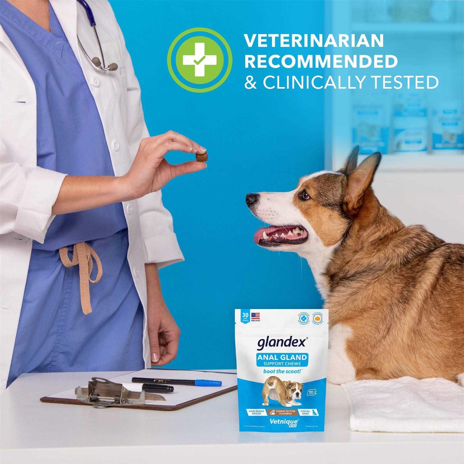 Alternative view of Glandex Anal Gland Soft Chews Supplement for Dogs