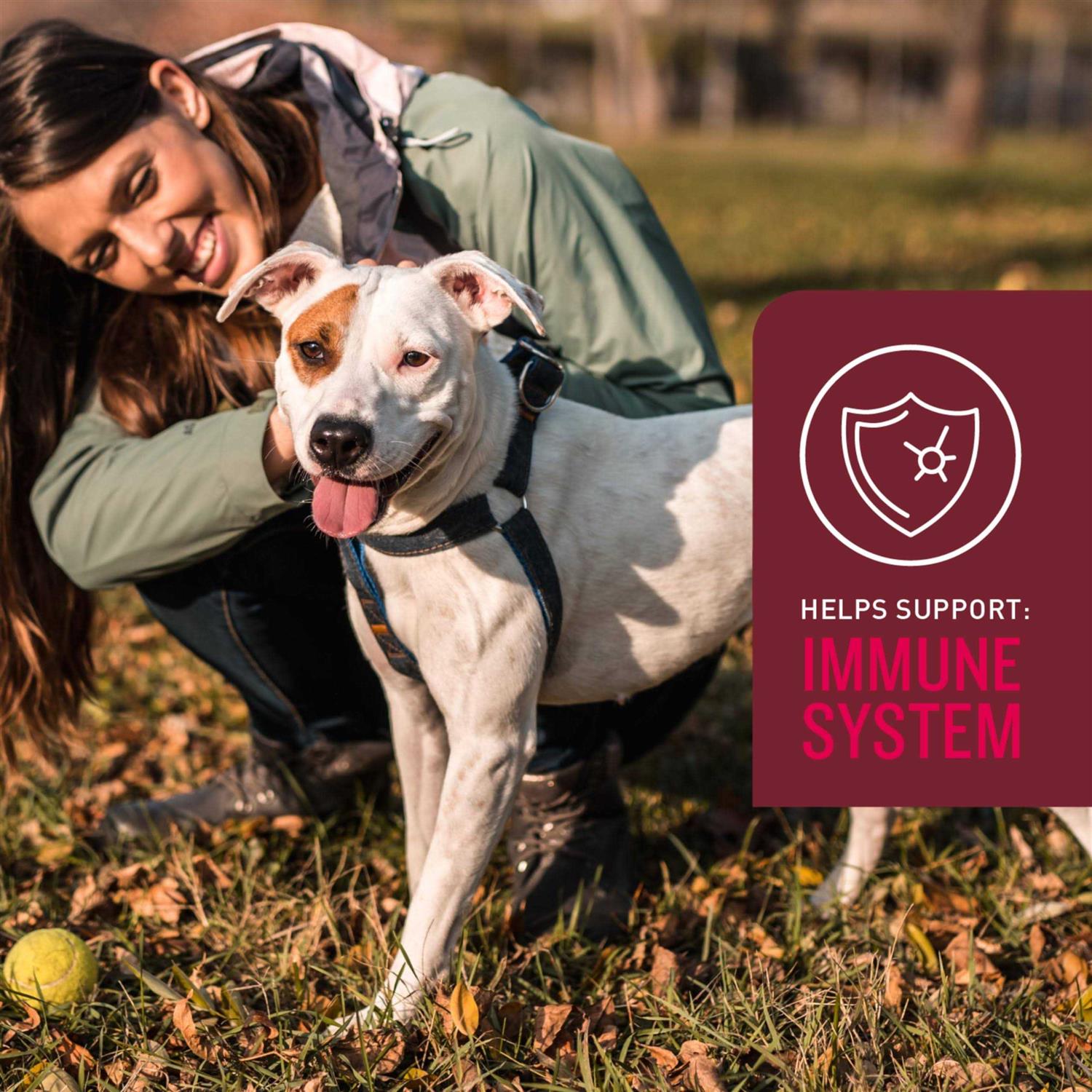 Alternative view of Sergeants VetIQ 5-in-One Multi-Benefit Soft Chews for Dogs
