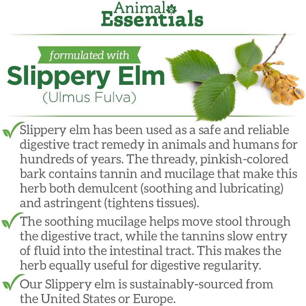 Alternative view of Animal Essentials Colon Rescue