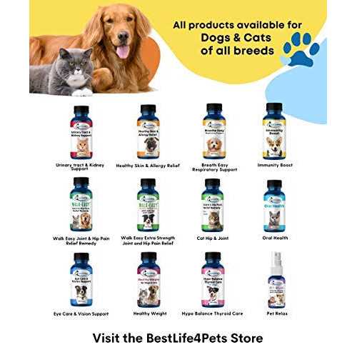 Alternative view of Bestlife4pets All-Natural Healthy Skin and Allergy Relief For Cats