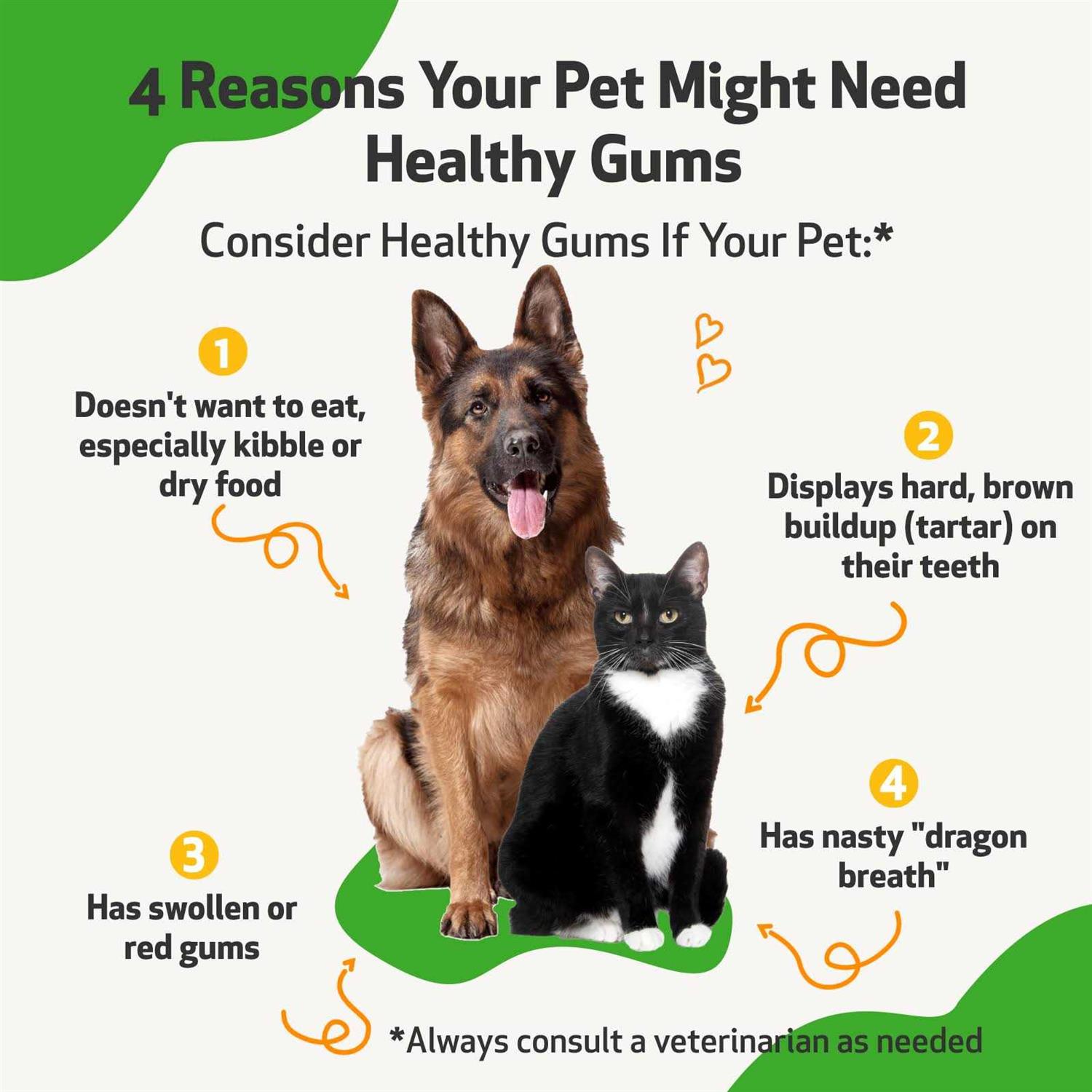 Alternative view of Pet Wellbeing Healthy Gums for Feline Periodontal Health