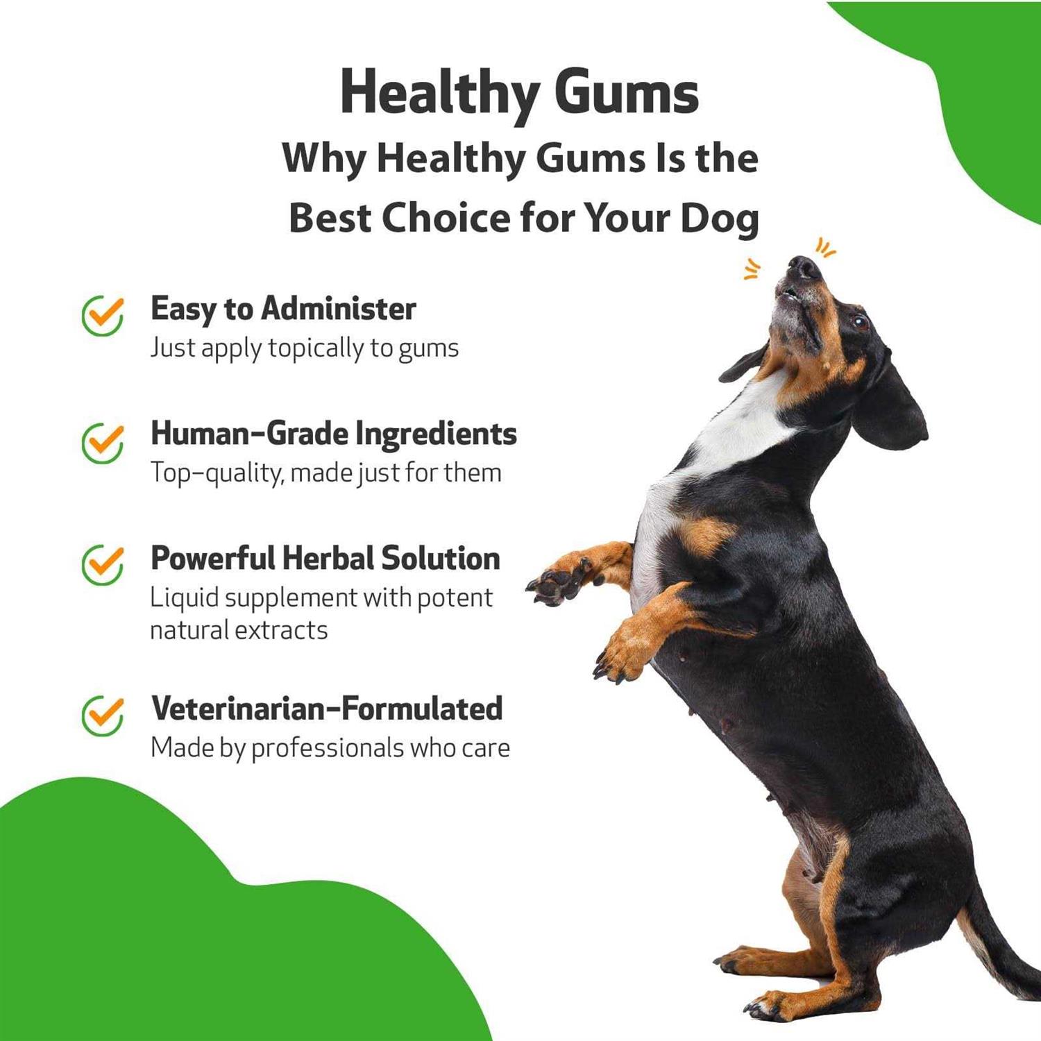 Alternative view of Pet Wellbeing Healthy Gums for Feline Periodontal Health