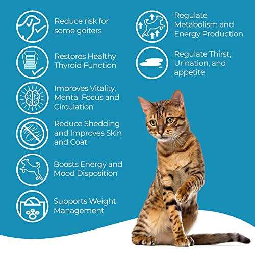 Alternative view of BestLife4Pets Cat Hyperthyroid + Weight Gain Support Feline Thyroid Supplement for Metabolic Support