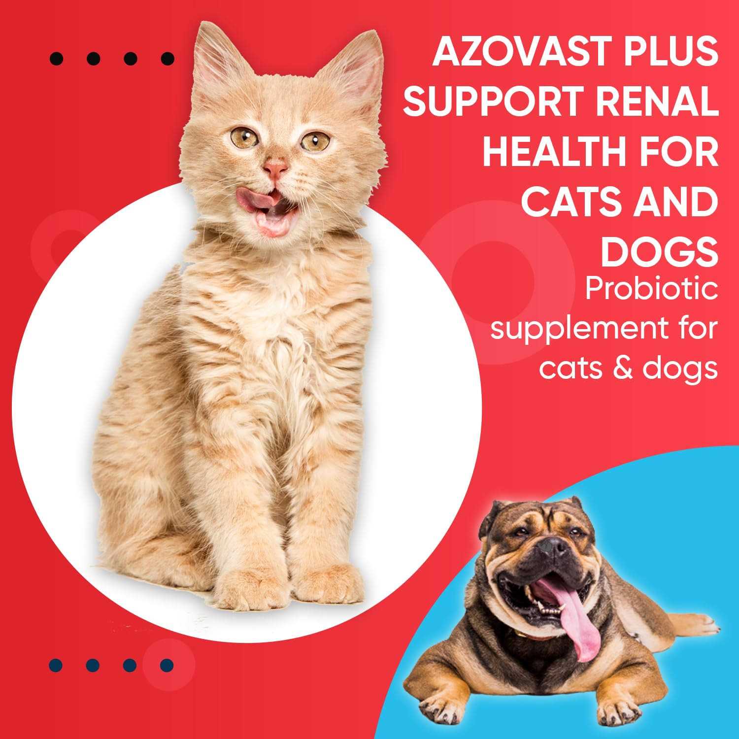 Alternative view of Pet Health Pharma Azovast Plus Kidney Health Supplement for Dogs & Cats