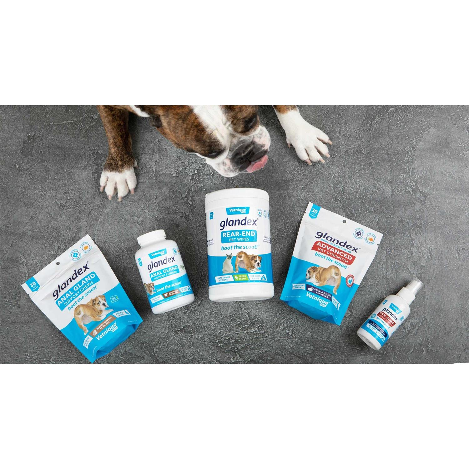Alternative view of Glandex Anal Gland Support Powder for Dogs & Cats