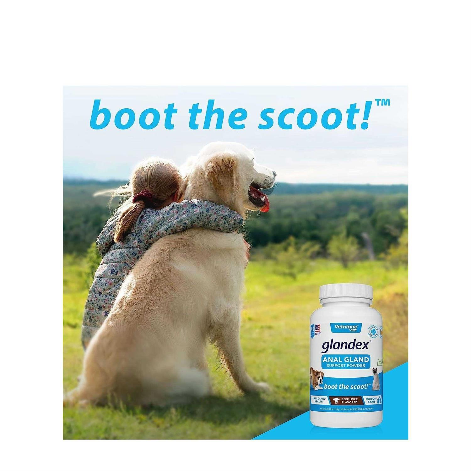 Alternative view of Glandex Anal Gland Support Powder for Dogs & Cats