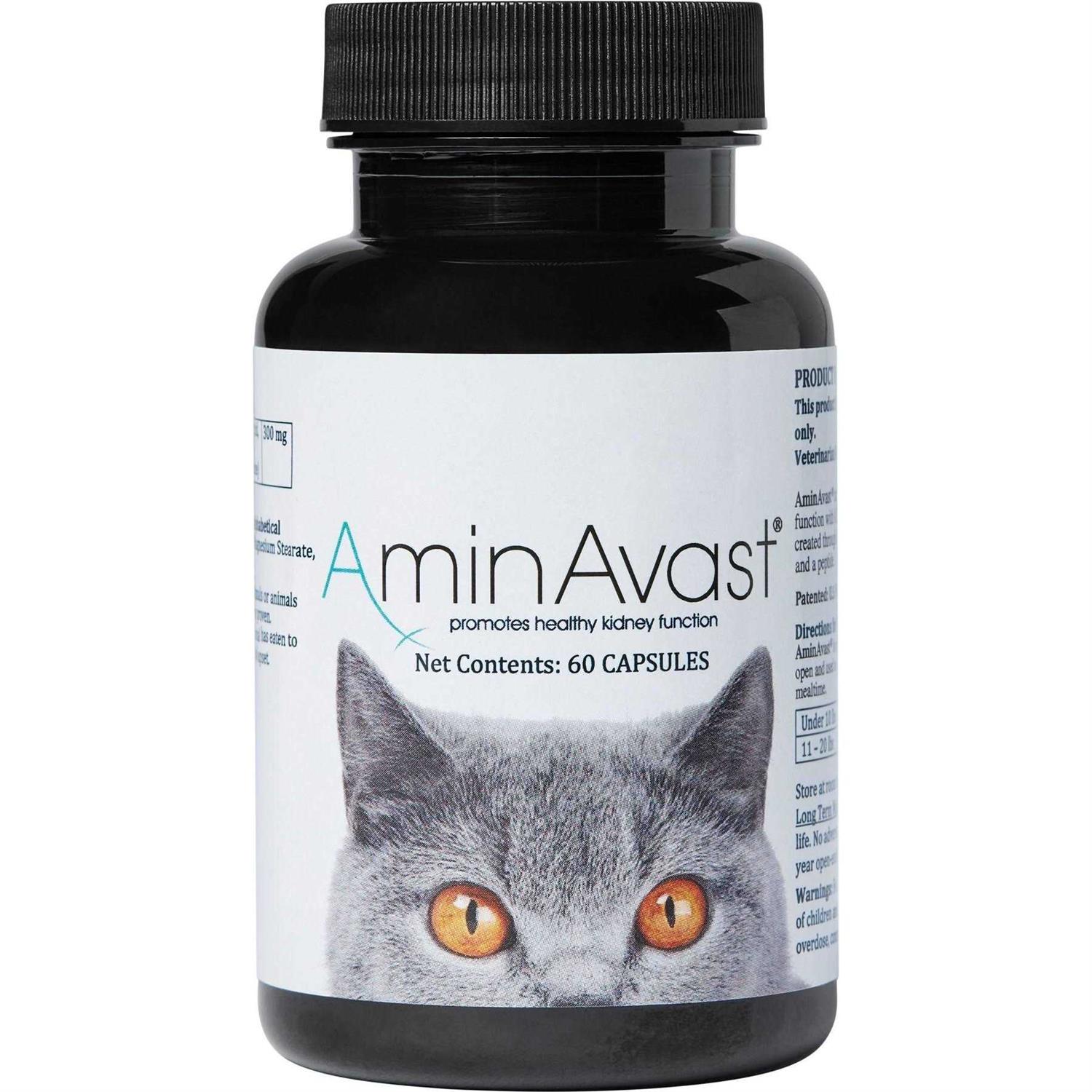 AminAvast Kidney Support for Cats