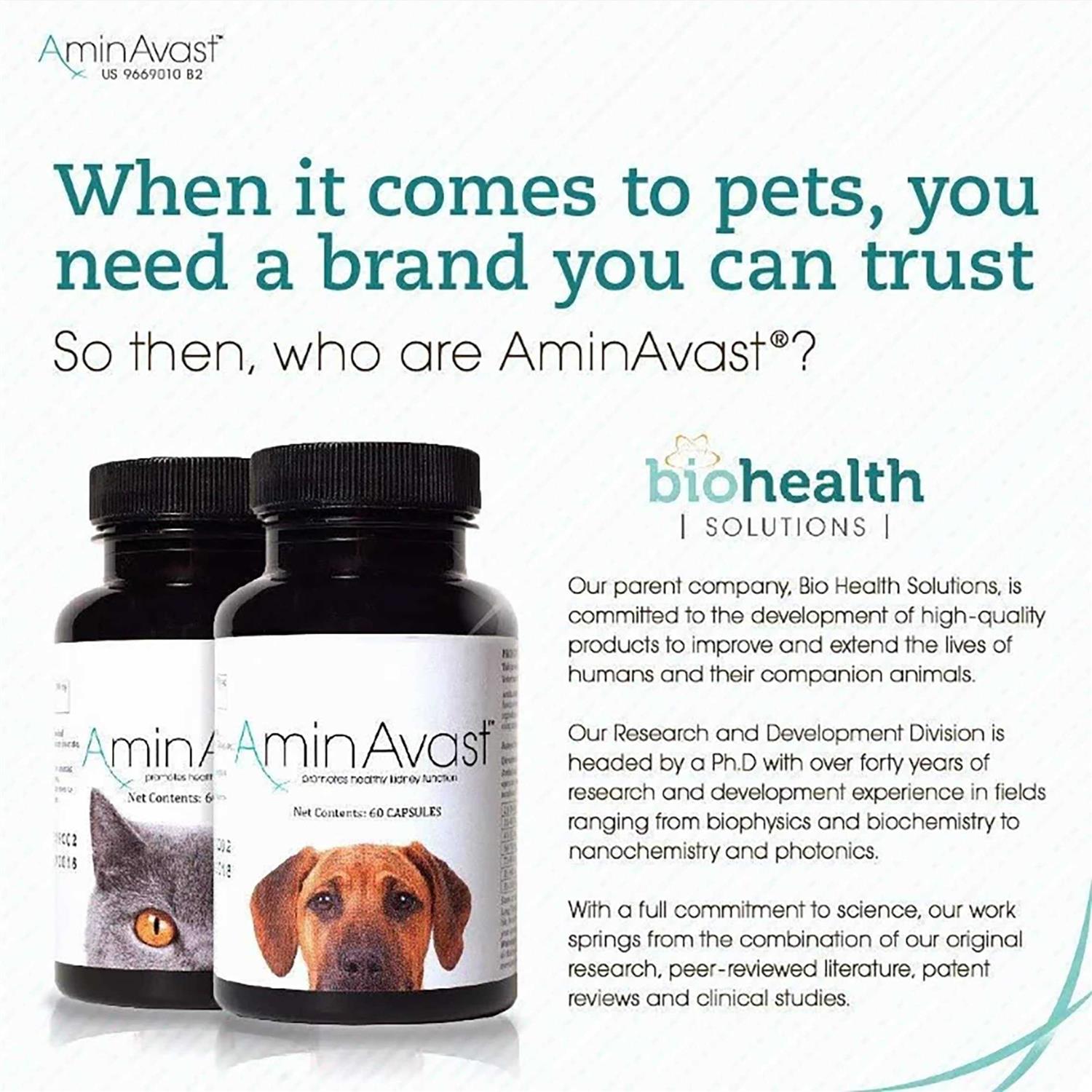 Alternative view of AminAvast Kidney Support for Cats