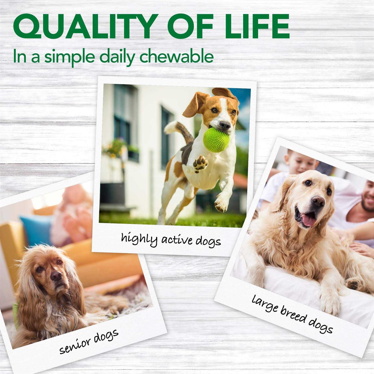Alternative view of Vets Best Aches + Pains Dog Supplement for Dog