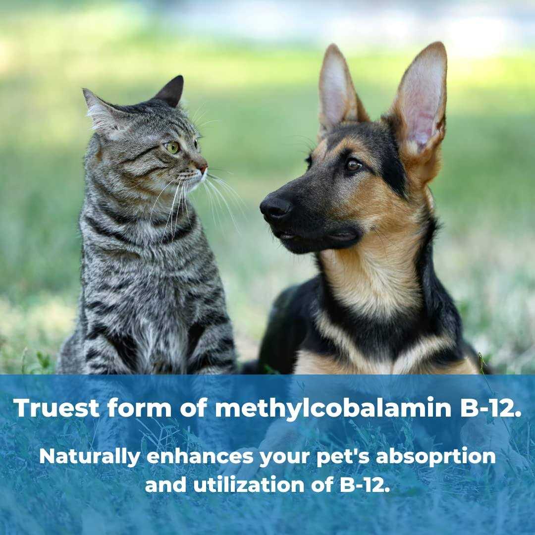 Alternative view of Wonder Laboratories Pet Factor B-12 B-12