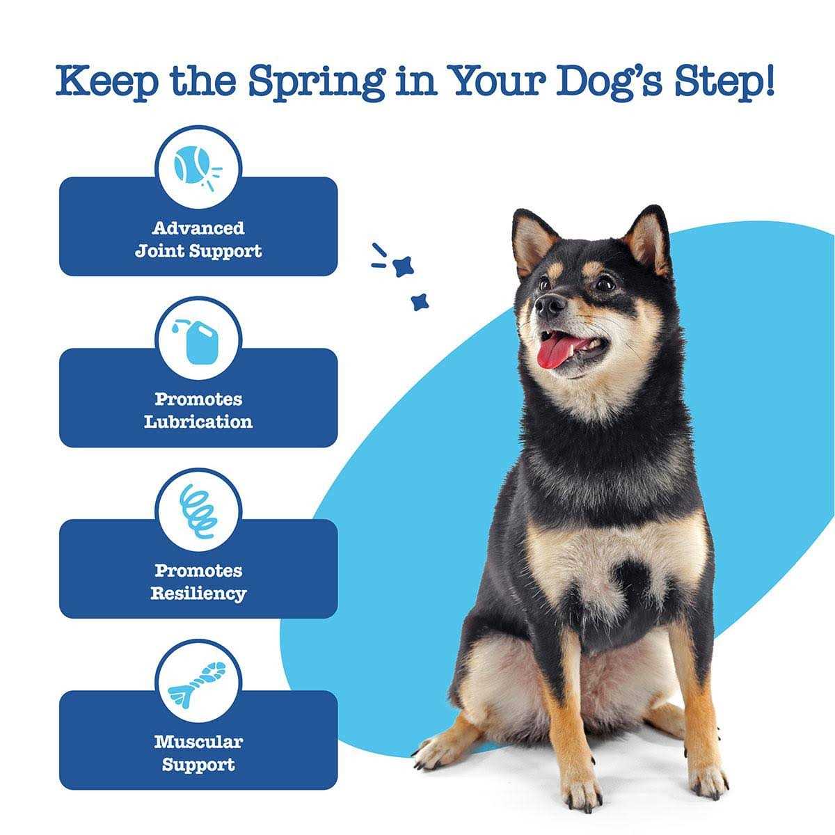 Alternative view of Zesty Paws Advanced Hip Joint Mobility Bites for Senior Dogs