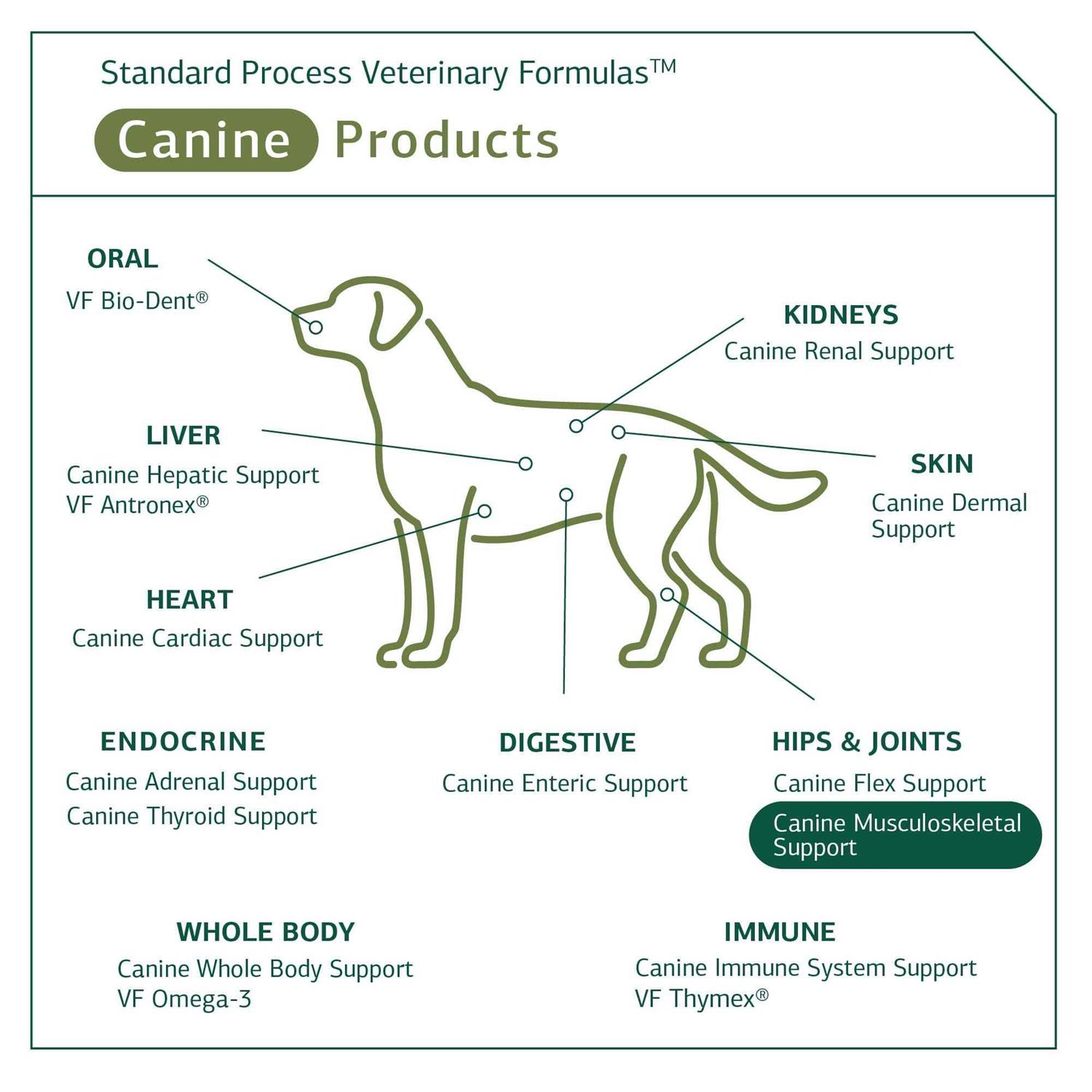 Alternative view of Canine Musculoskeletal Support Standard Process