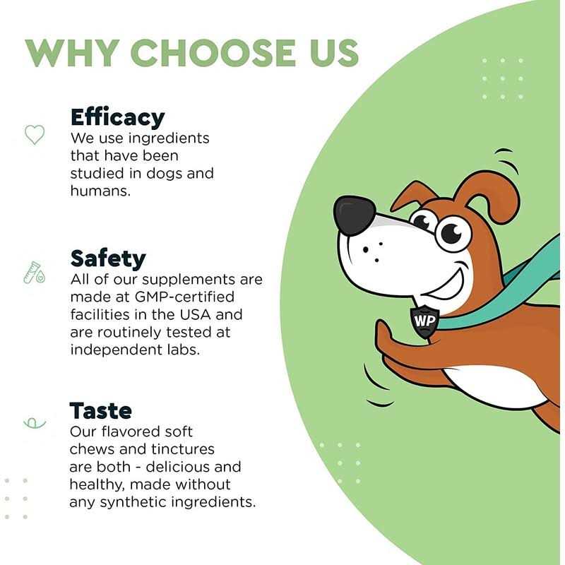 Alternative view of Wonder Paws Milk Thistle Liver Support for Dogs Supports Kidney Function for Pets