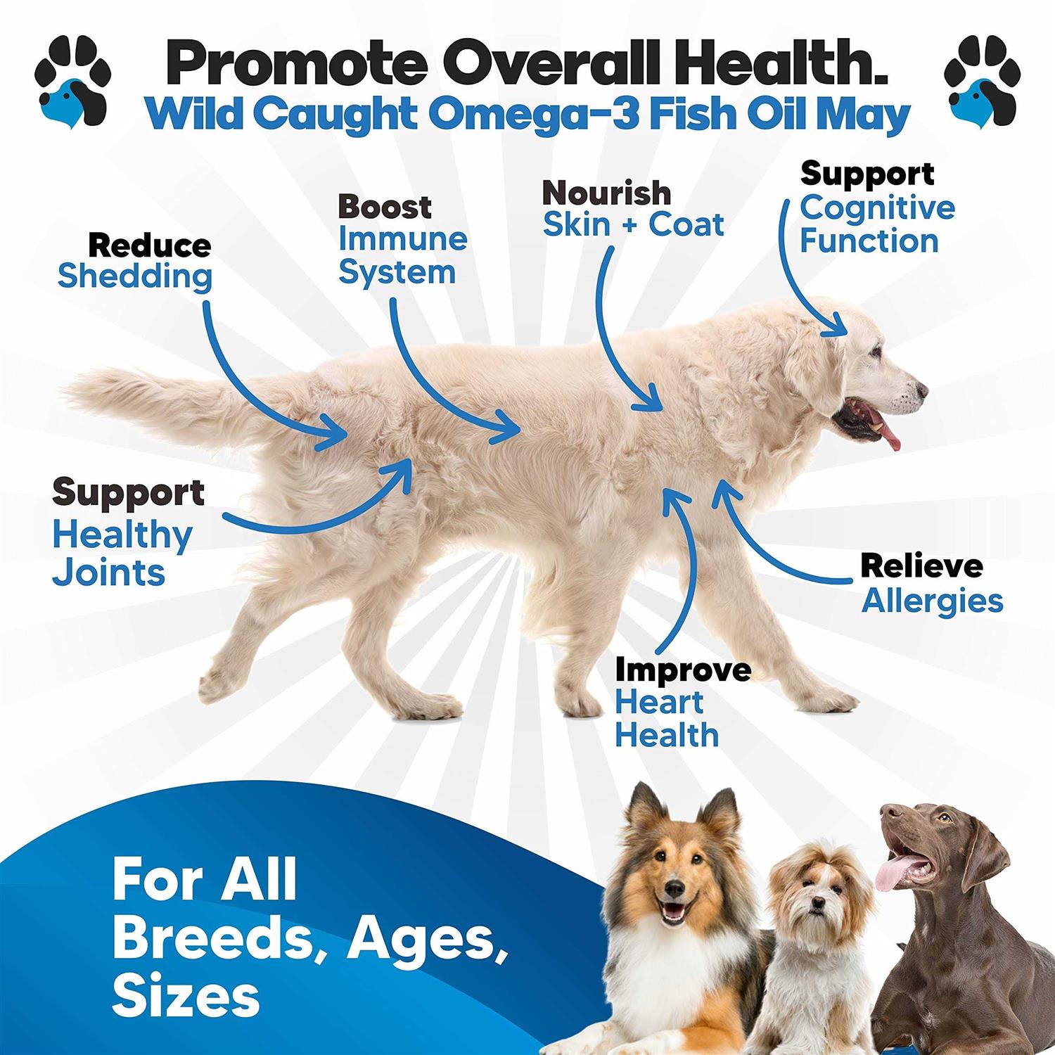 Alternative view of planopaws Omega 3 Fish Oil for Dogs Better Than Salmon Oil for Dogs