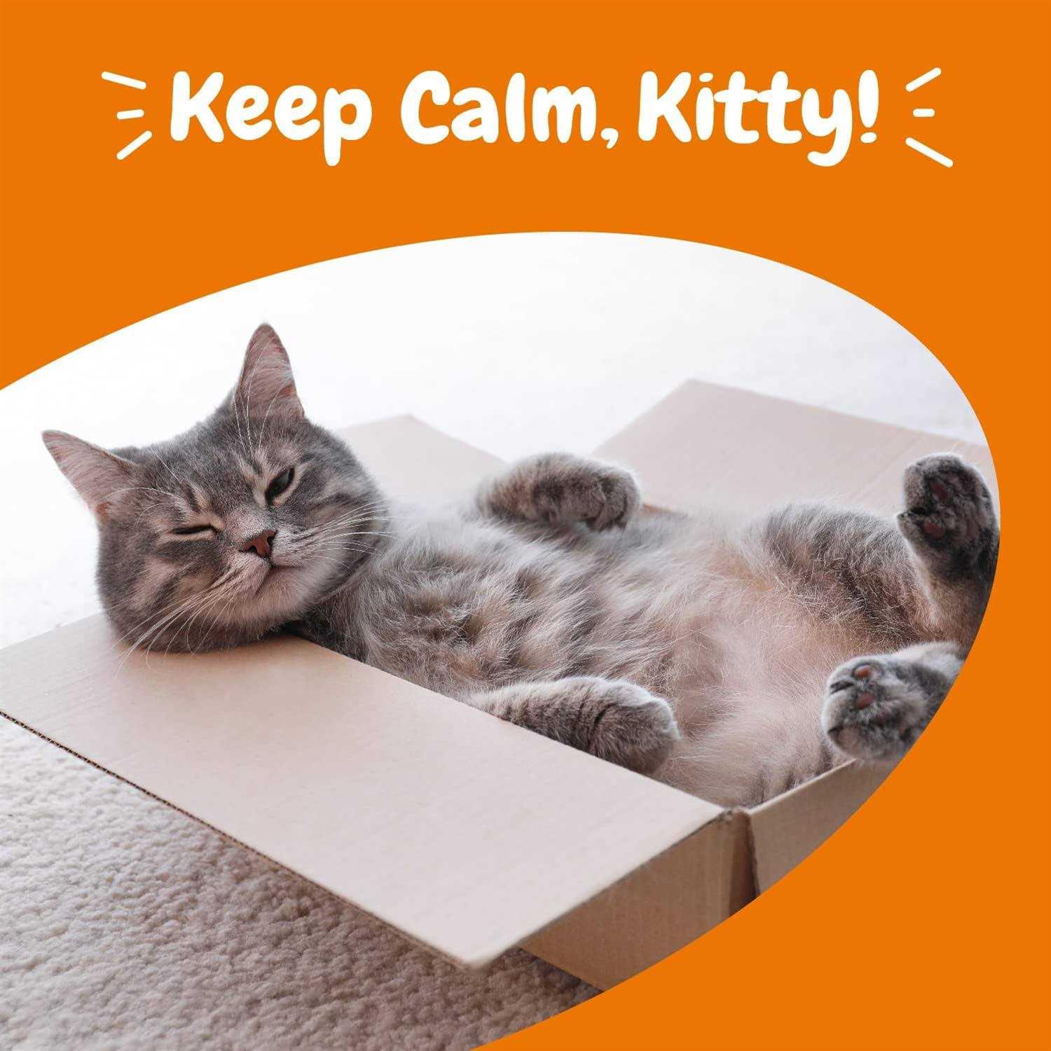 Alternative view of Zesty Paws Calming Bites for Cats