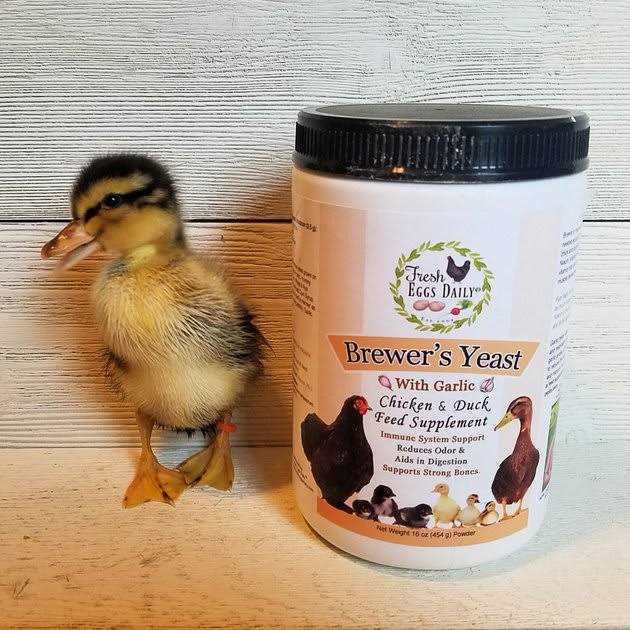 Alternative view of Fresh Eggs Daily Brewers Yeast with Garlic Powder and Niacin for Ducks Feed Supplement Vitamins for Backyard Chickens 1LB