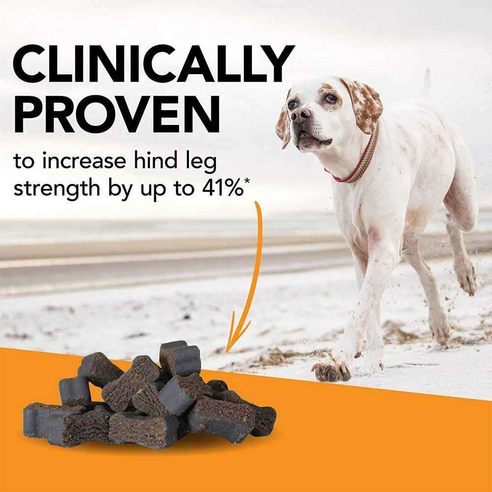 Alternative view of VetriScience GlycoFlex Plus for Dogs
