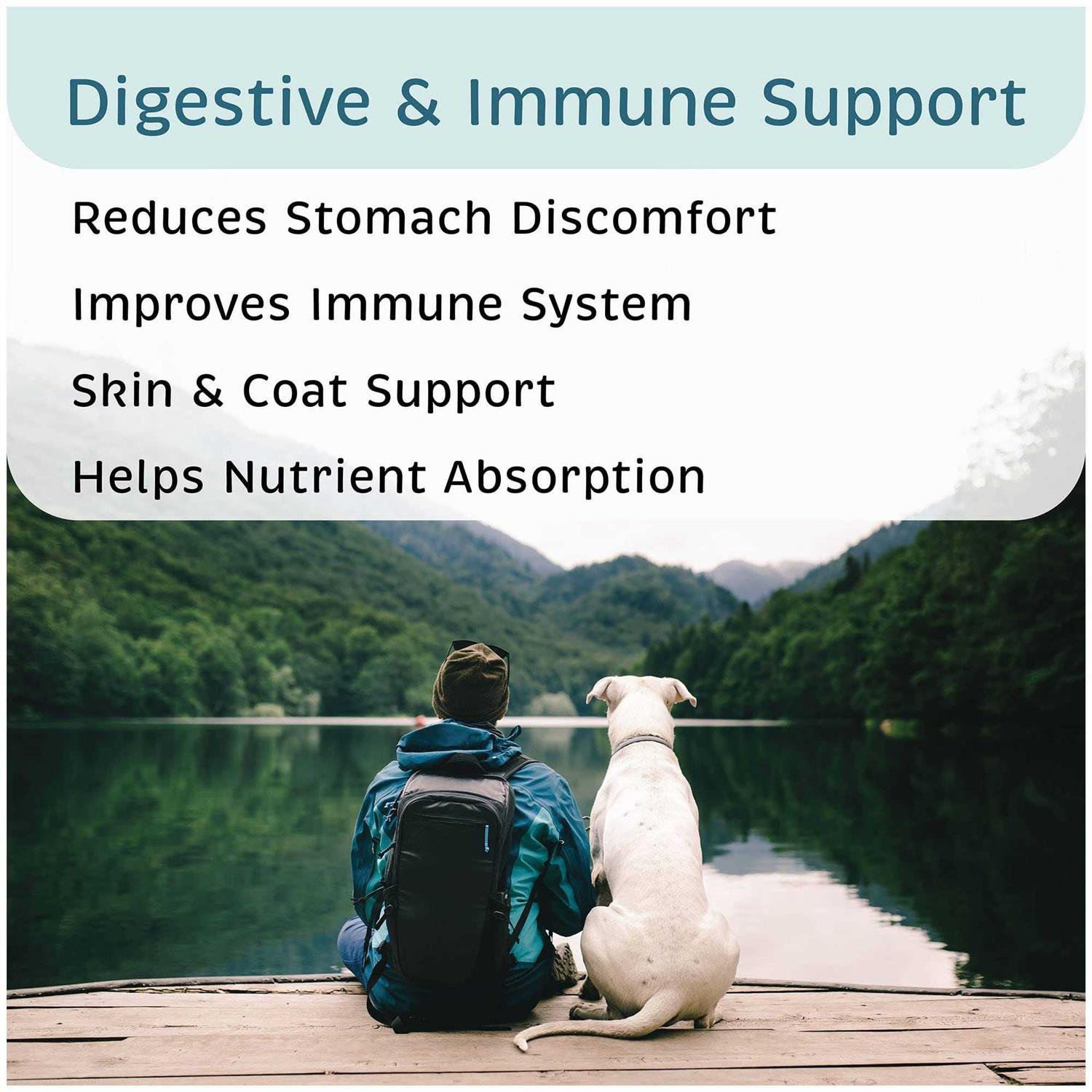 Alternative view of VetOne Advita Probiotic Nutritional Supplement for Dogs