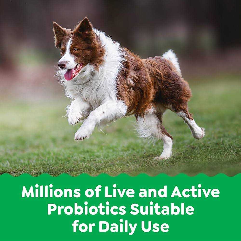 Alternative view of Greenies Supplements Digestive Health Probiotics for Dogs Chicken Flavor