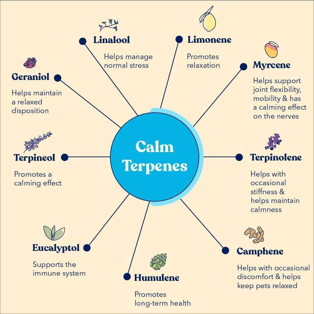 Alternative view of Calm Soft Chews