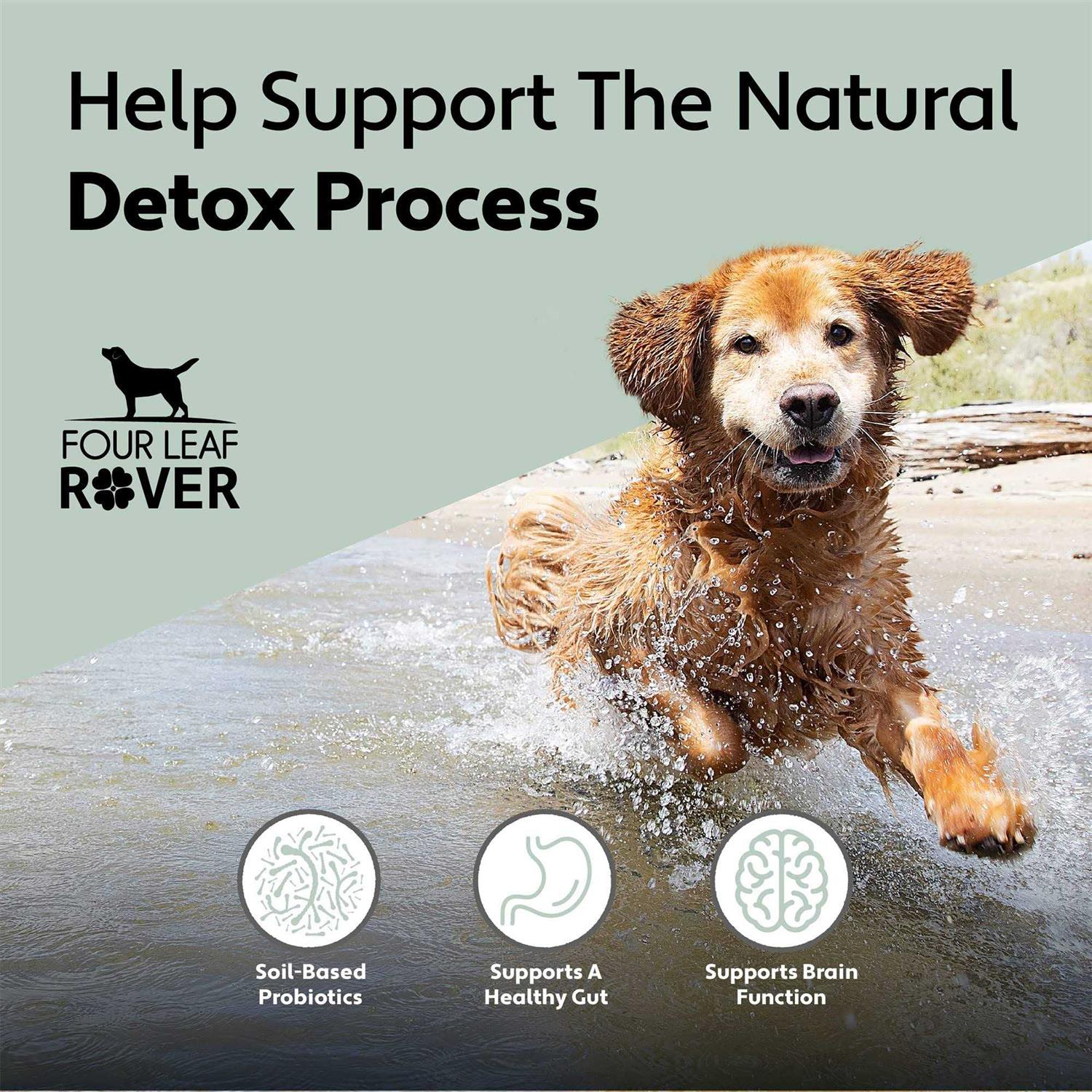 Alternative view of Four Leaf Rover Protect Soil-Based Probiotics and Prebiotics for Dogs