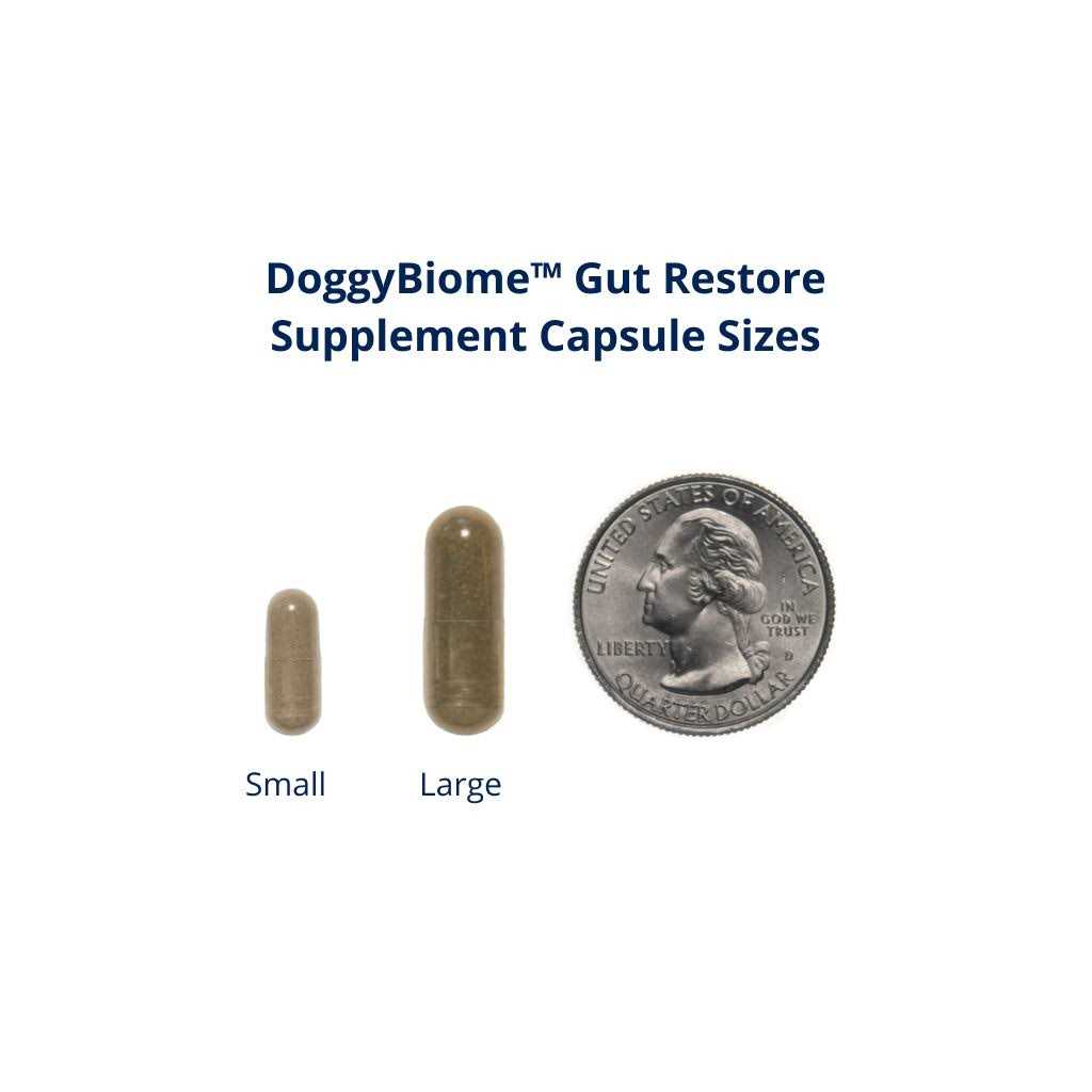 Alternative view of DoggyBiome Gut Restore Supplement 30 Capsules
