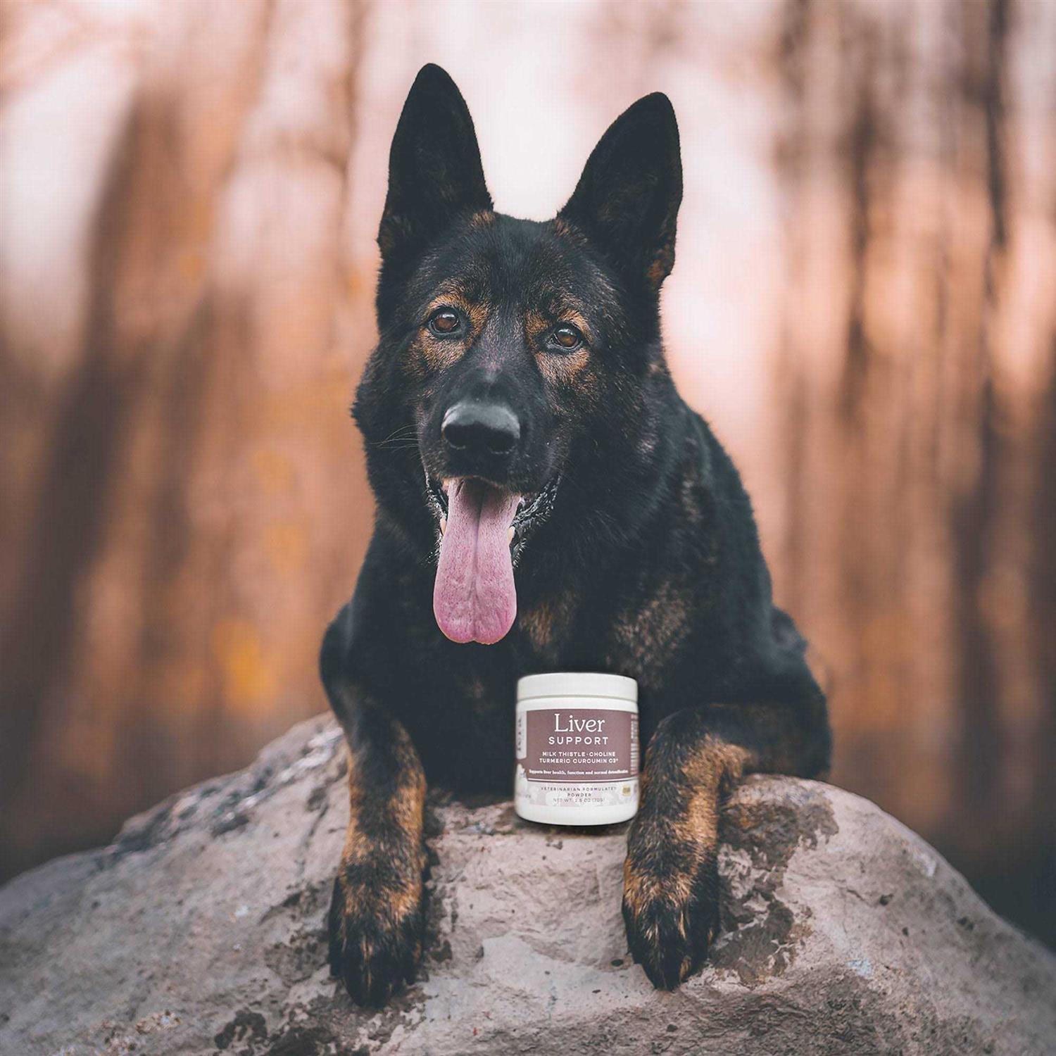 Alternative view of Fera Pet Organics Liver Support for Dogs & Cats