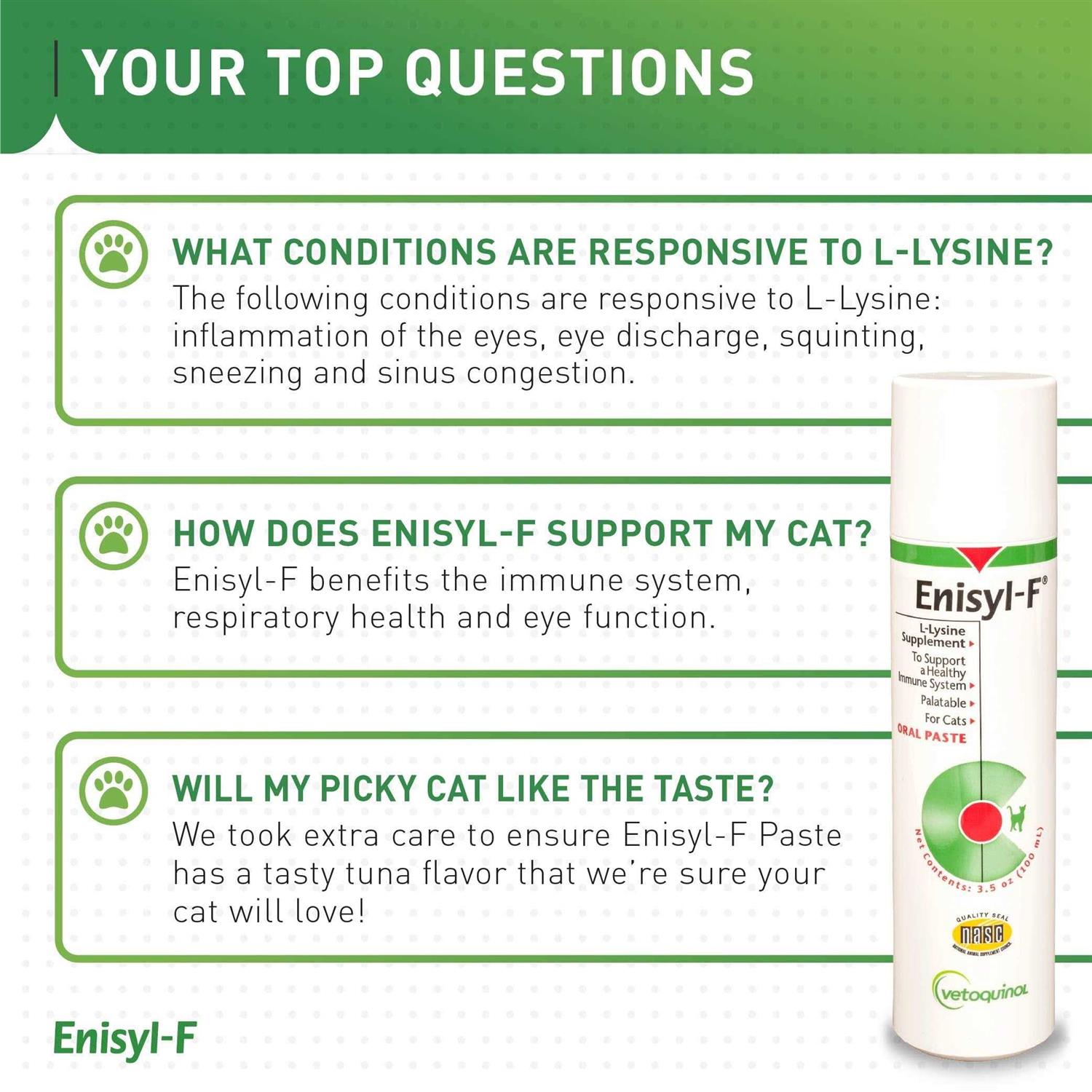 Alternative view of Enisyl F Oral Paste for Cats